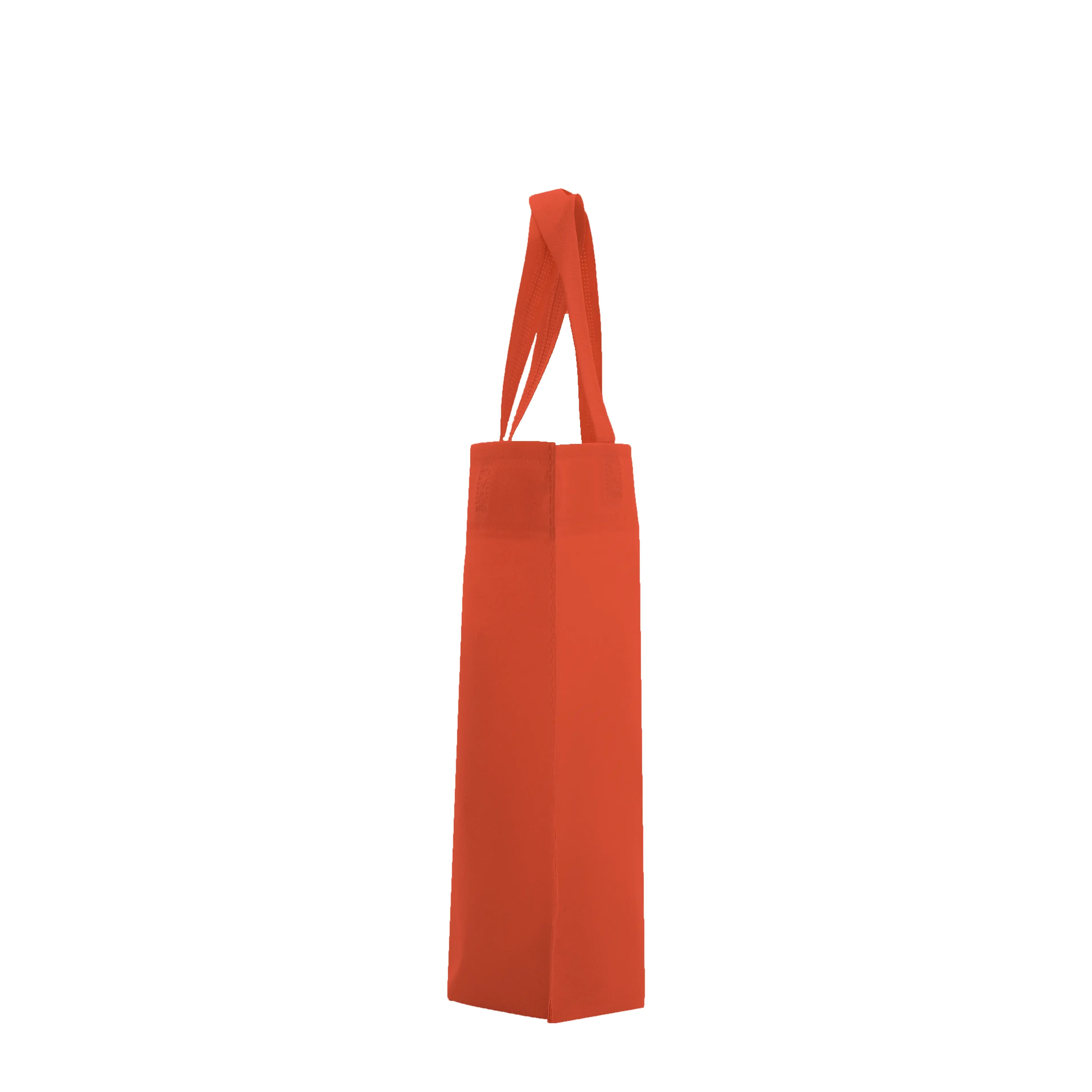 Bolsa M1 30x30x10