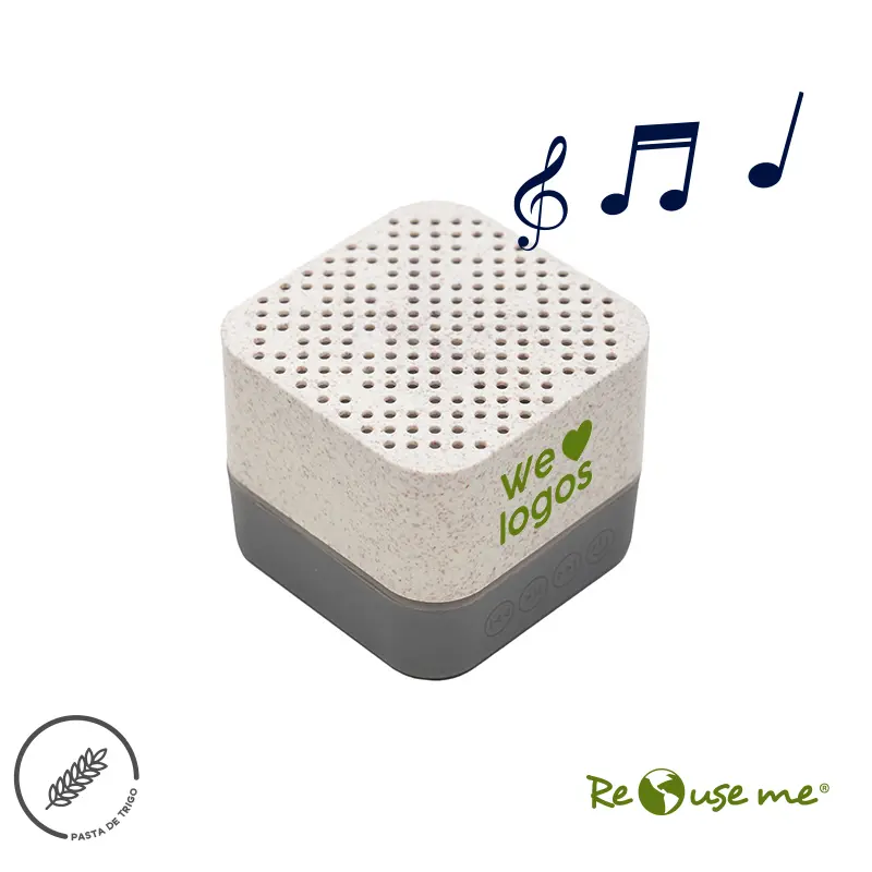 	Parlante Wireless Earth