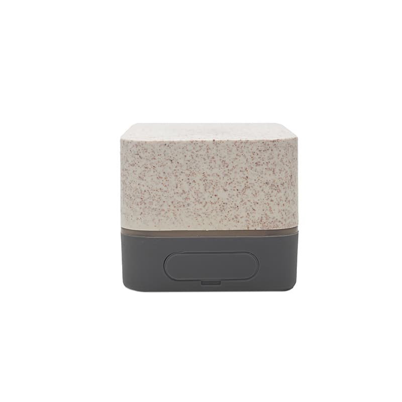 Parlante Wireless Earth