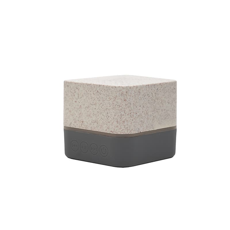 Parlante Wireless Earth
